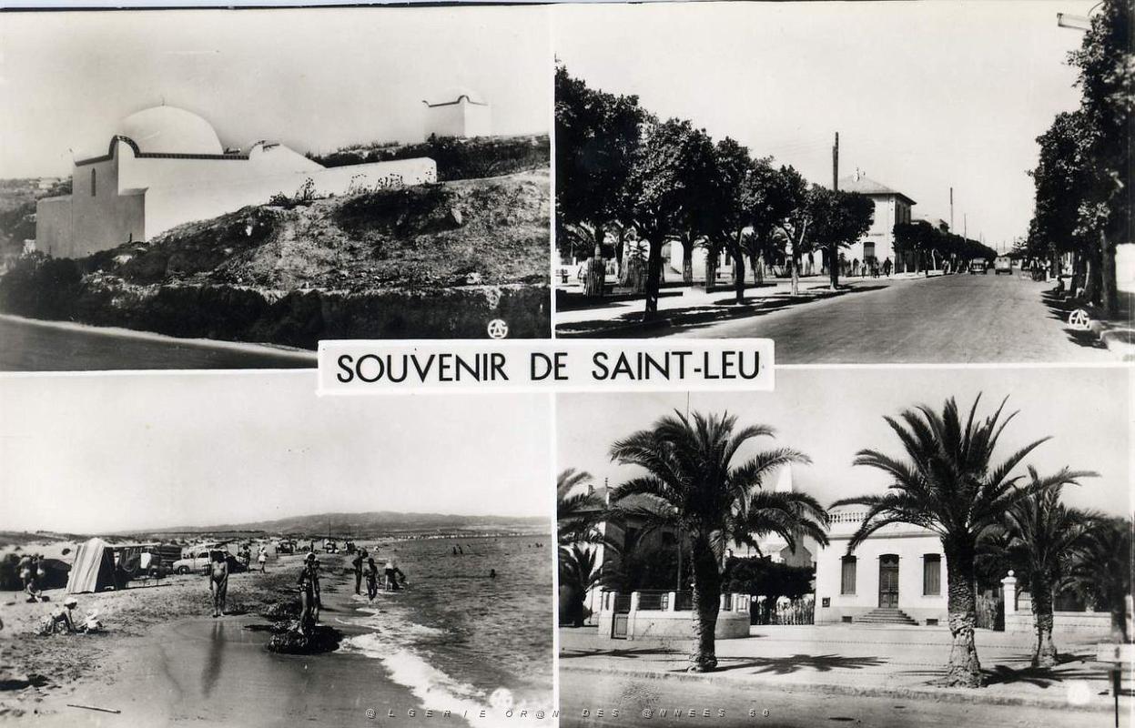 Saint Leu 503- Souvenirs COLLECTION DES AMIS DE ND DE SANTA CRUZ.jpg